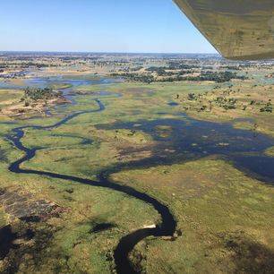 Botswana-Okavango-Delta-Vliegtuig_2_365560
