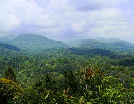 TamanNegara-landschap