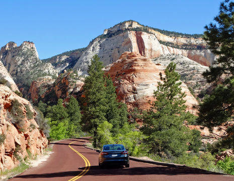 Amerika-Zion-Canyon-Scenic-drive-2(8)