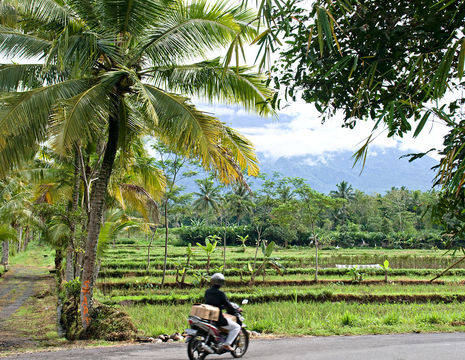 Indonesie-Java-Onderweg