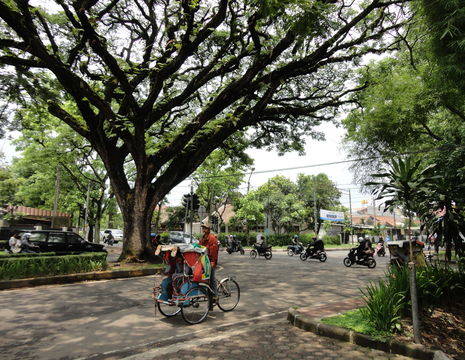 Indonesie-Java-Bandung-fietsen10