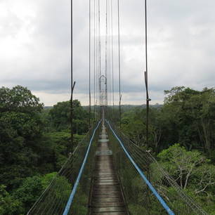 de canopy-brug in de Amazone