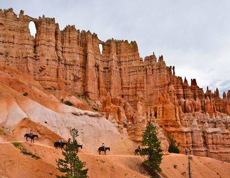 Verenigde-Staten-Bryce-Canyon-rotsen-paarden_1_548970