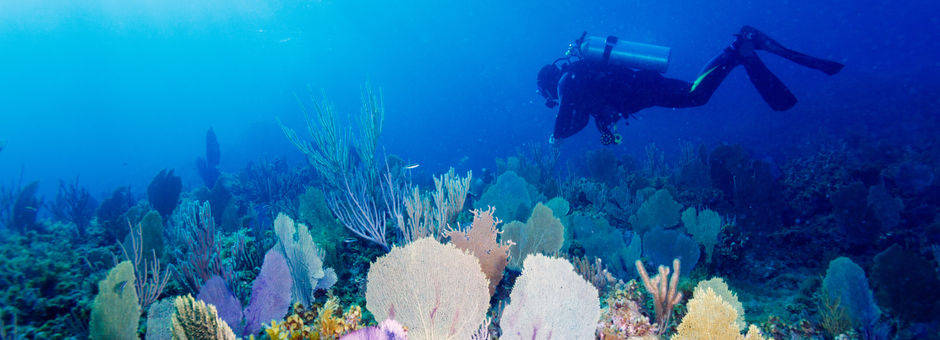 Indonesie-Lombok-onderwater56(13)