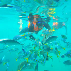 Snorkelen bij Tioman in West-Maleisië