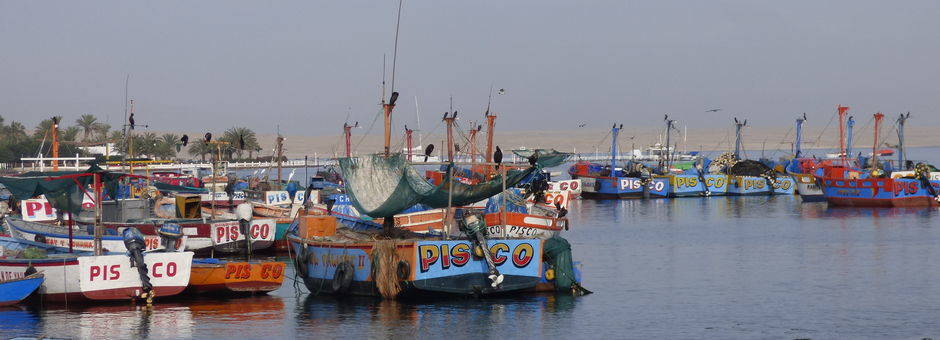 Stap-op-de-boot-in-de-haven-van-Paracas(11)