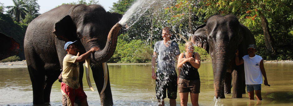 De olifanten geven je graag een verfrissende douche in Tangkahan op Sumatra, Indonesie