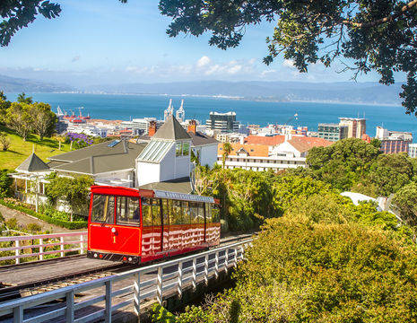 Nieuw-Zeeland-Wellington-tram-uitzicht-1