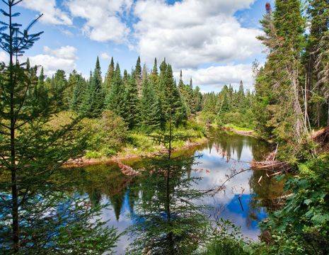 Canada-Algonquin-Provincial-Park-1_1_495272