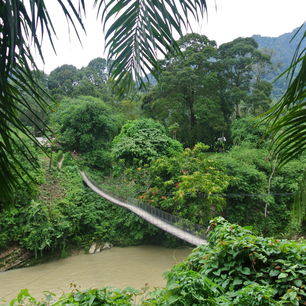 Sumatra-Tangkahan-hangbrug naar de accomodatie