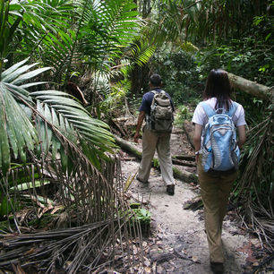 Sarawak-BakoNP-jungletrekking