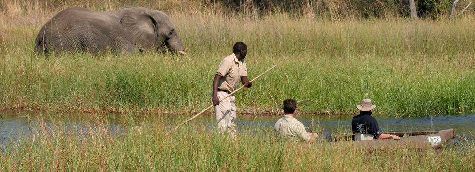 Botswana-Moremi-Wildlife-Reserve13