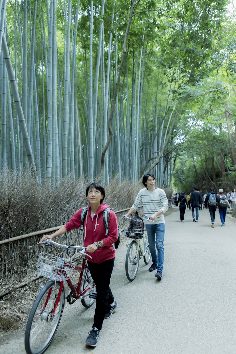 Rusteloosheid Verplicht Uitstralen Excursie fietsen langs tempels en door de natuur in Kyoto - Van Verre