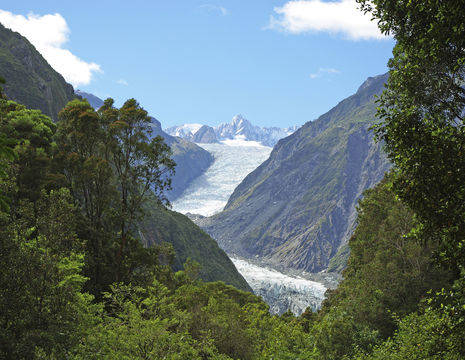 Nieuw-Zeeland-Franz-Josef-Gletsjer-2