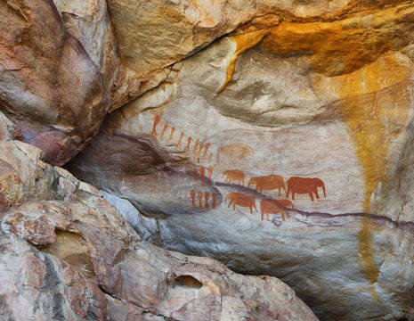 Bijzondere rotsschilderingen in de omgeving van Cederbergen in Zuid-Afrika