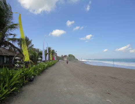 Indonesie_Bali_Canggu_strand
