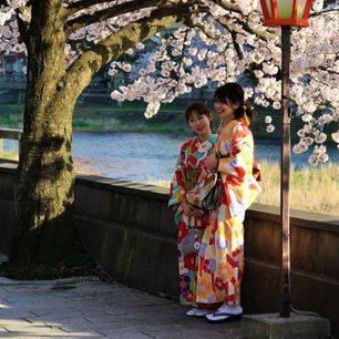 Japan-Geisha-wijk-Kanazawa-vrouwen-bij-kersenbloesem_1_435608