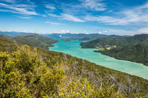 Nieuw-Zeeland-Marlborough-Sounds-uitzicht