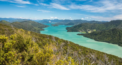Nieuw-Zeeland-Marlborough-Sounds-uitzicht