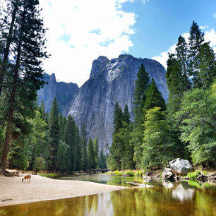Amerika-Yosemite-National-Park-1