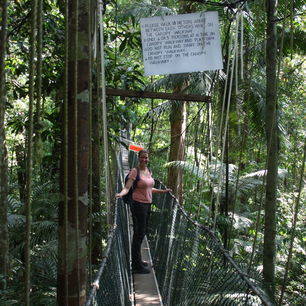 Maleisie-Taman-Negara-jungle