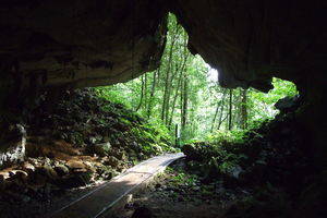 Kuching, Wind- & Fairy Caves