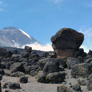 Kilimanjaro-Omgeving_1_423296